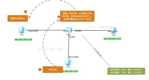 交换机工作原理 从数据包接收到转发详解，附实验与抓包实操