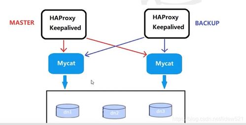 mycat集群高可用架构设计与在线交易业务高可用验证实践笔记